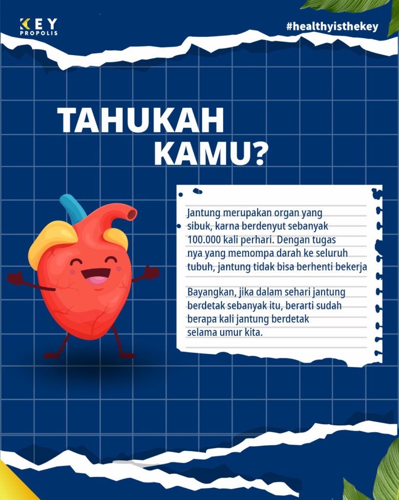 Tahukah kamu tentang detik jantung