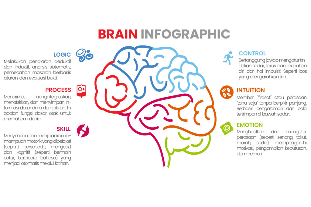 Brain Infrografic dari Keypropolis