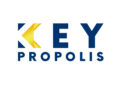 logo key