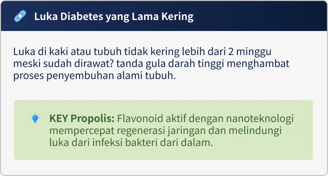 1 2.webp