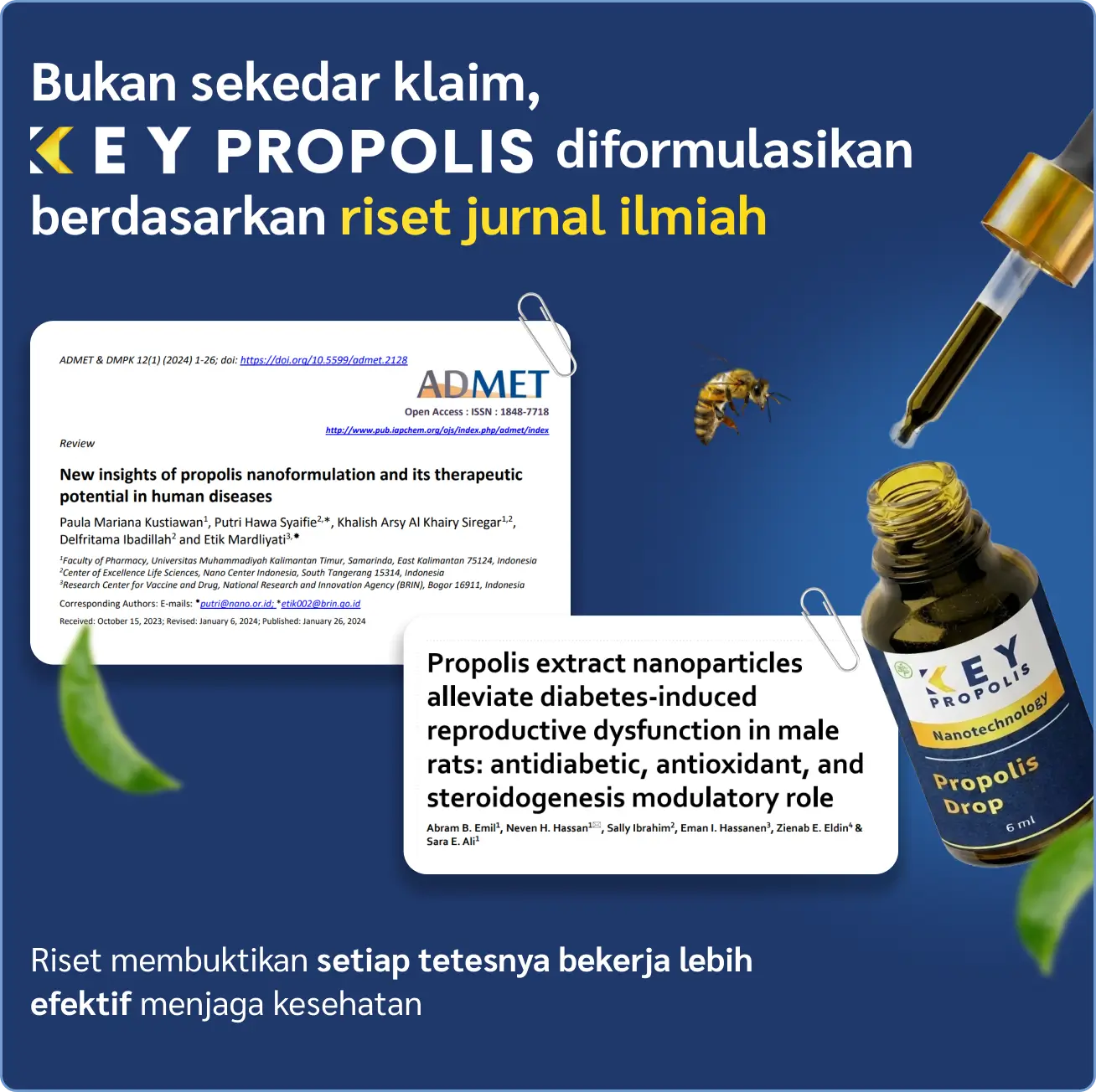 frame key propolis.webp
